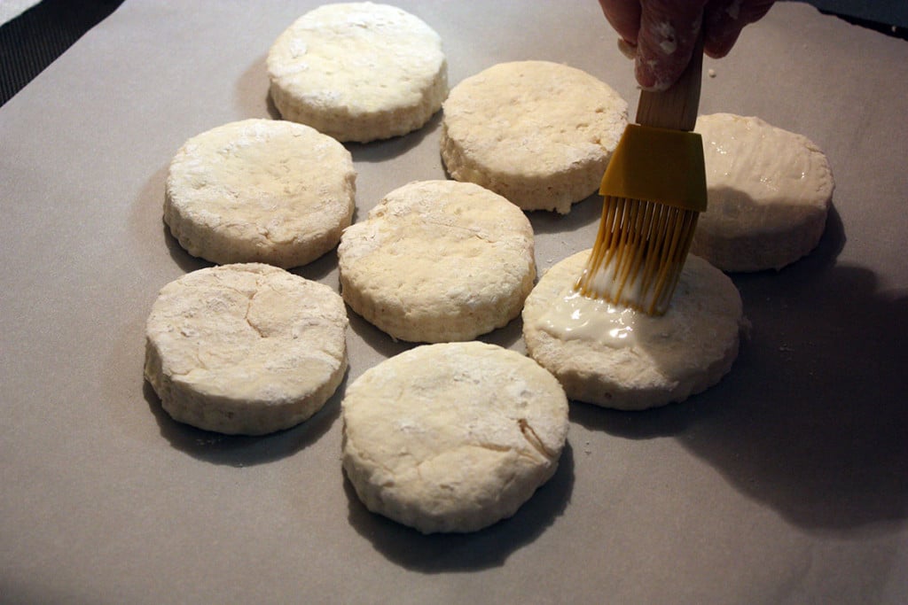 Tops of the biscuits being brushed with buttermilk.