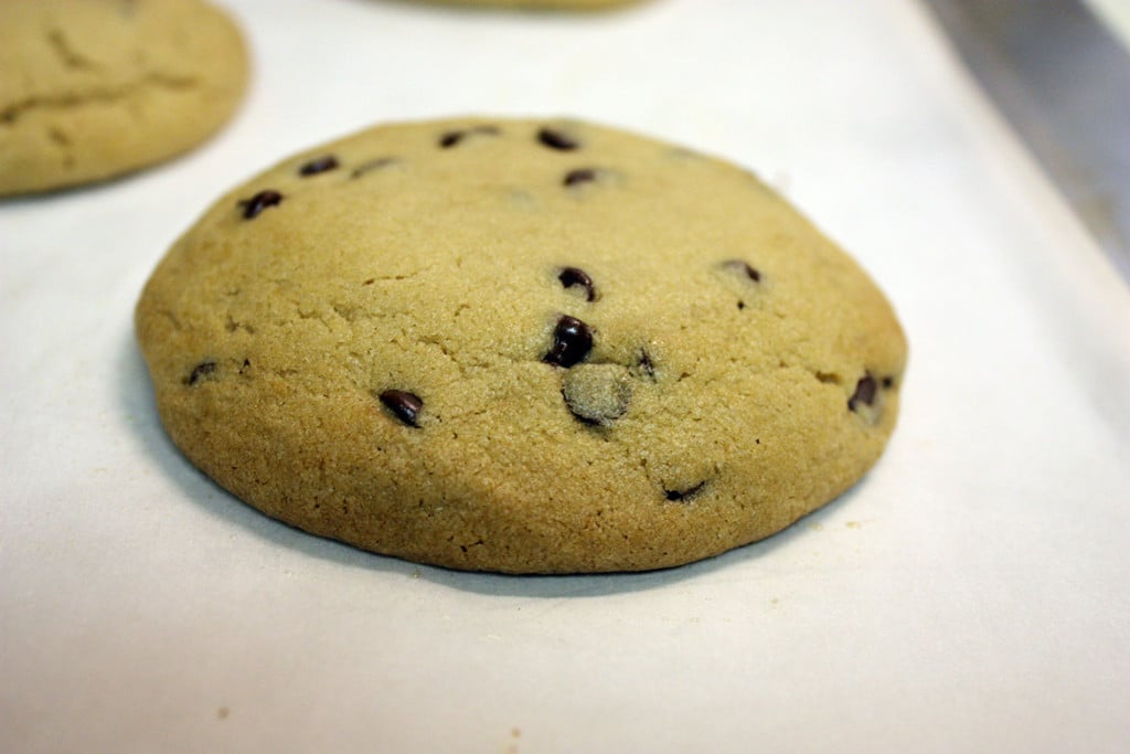 Big chewy chocolate chip cookie on a baking sheet.