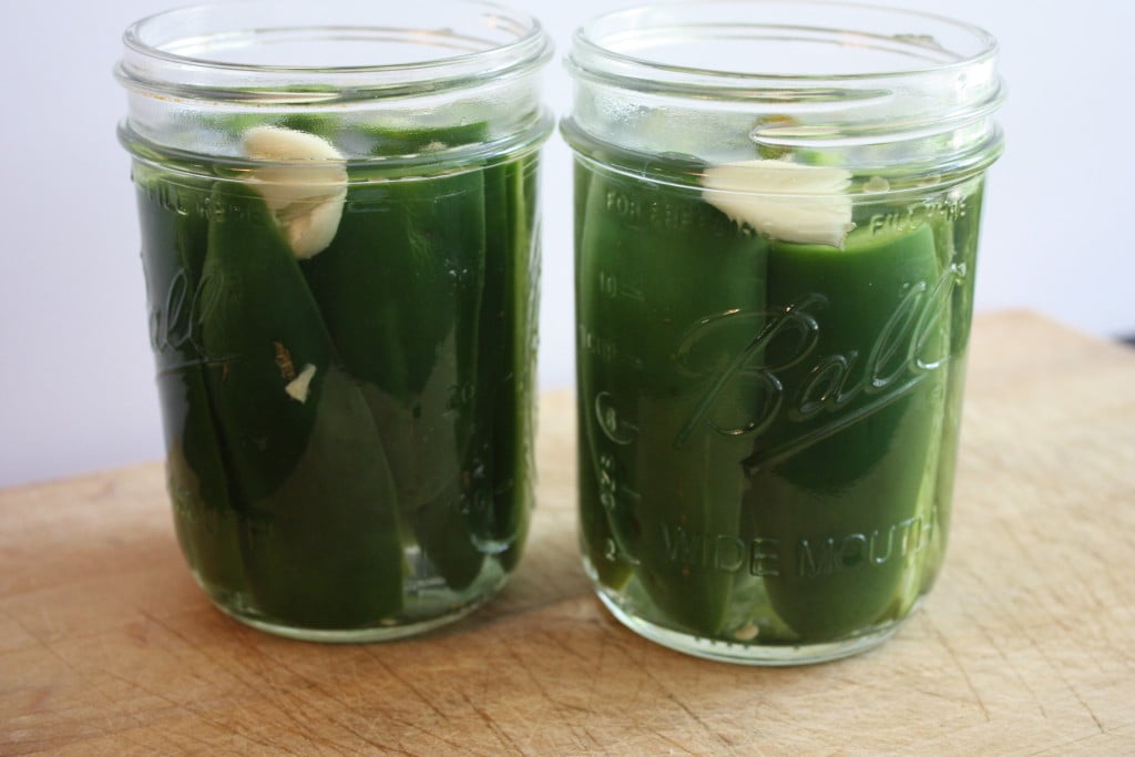 Quick pickled jalapeno peppers in mason jars.