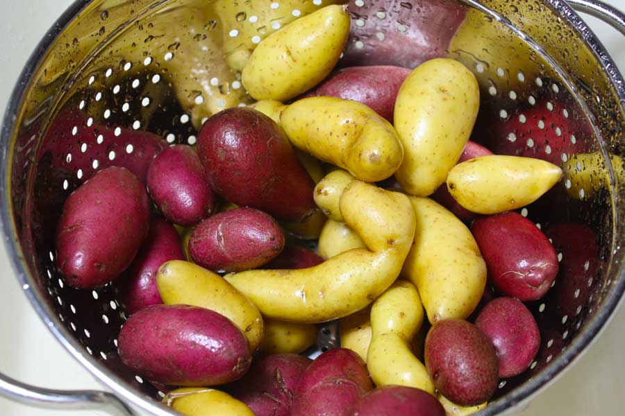 Fingerling Potatoes  in a metal strainer