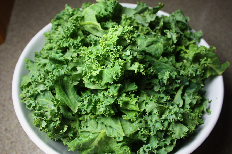 Fresh cleaned kale in white bowl.