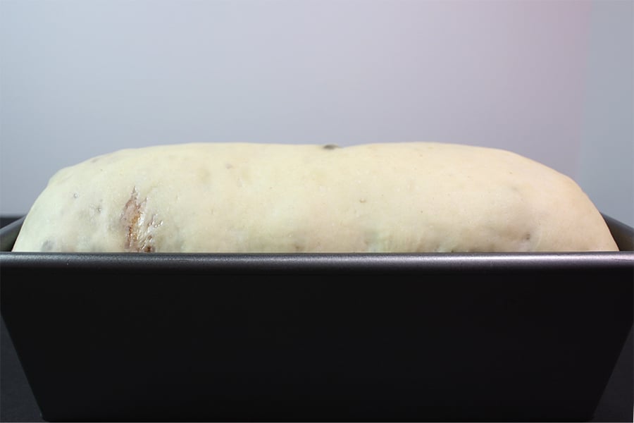 Dough risen in a loaf pan.