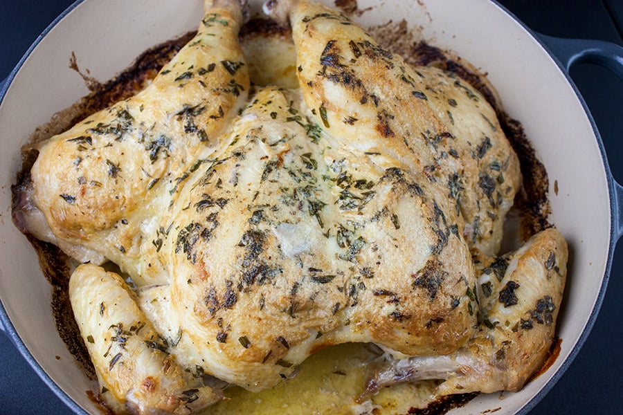 Roasted Chicken with Dijon Cream Sauce in a roasting pan.