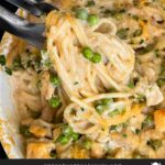 Chicken tetrazzini in a white baking dish with a serving on a dark plate.