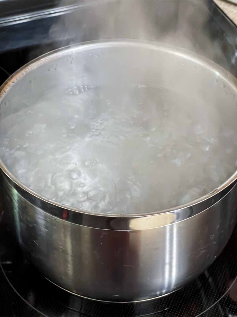 Boiling water in a pot.