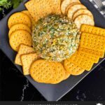 Olive cheese ball on a dark plate surrounded by different shaped crackers.