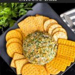 Olive cheese ball on a dark plate surrounded by different shaped crackers.